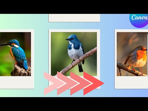 Motion Graphics Animation Tutorial in Canva Smooth Easy Animation for Beginners