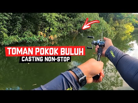 NON-STOP CASTING IKAN TOMAN