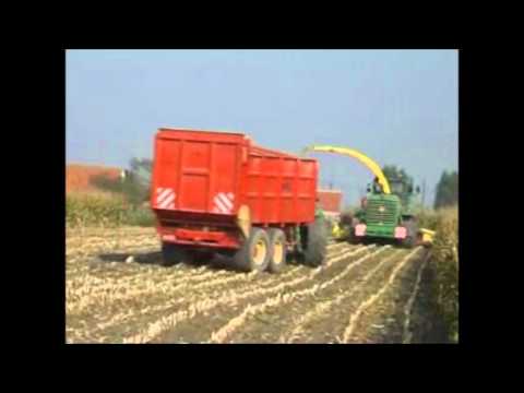 Soete D.:  Mais hakselen.