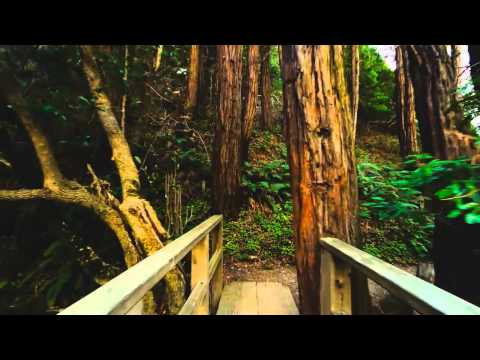 [HD] Daydreamers Ep.36