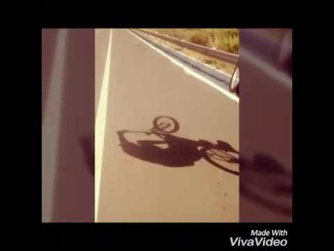 Grau douglinha _ Guaxupé MG