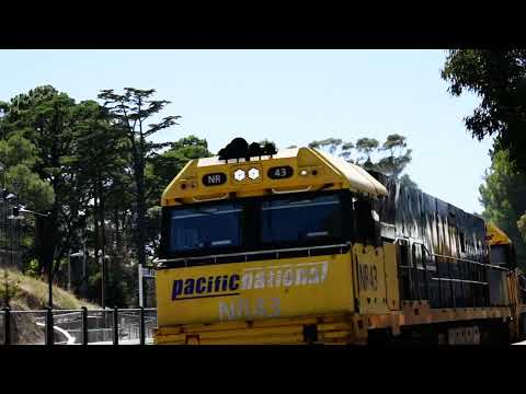 Freight Train (4MP7)