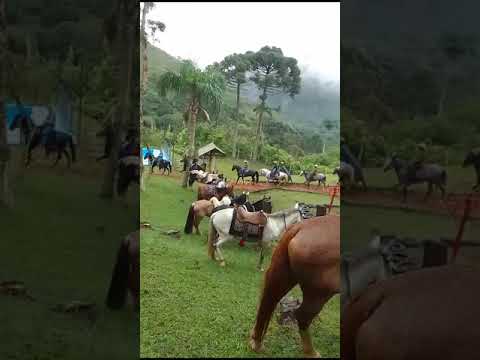 cavalgada em Itaperuçu  Paraná Brasil de   cavalo 🐴 🇧🇷🏇🙏