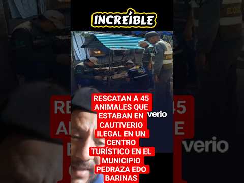 RESCATAN A 45 ANIMALES QUE ESTABAN EN CAUTIVERIO EN EL MUNICIPIO PEDRAZA EDO BARINAS