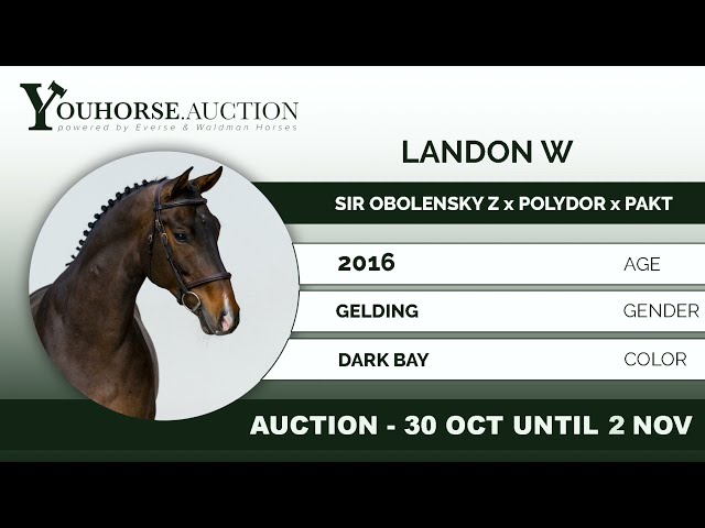 Youhorse.auction | Landon W