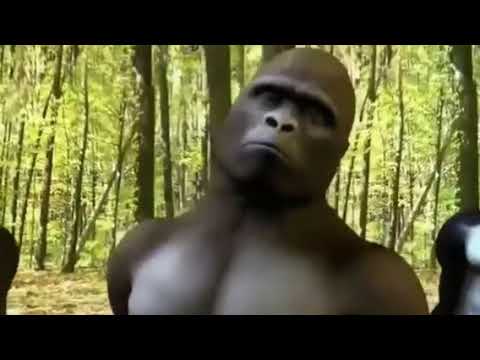 Zyrtck x Lil Frostee x Simie Balerine