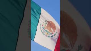 Why Do Mexico's State Flags Suck? #shorts