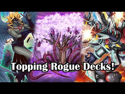 Yu-Gi-Oh! Topping Rogue Decks From Regionals/Nationals!