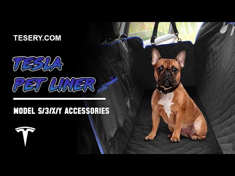 Tesla Pet Liner Review | Tesla Model S/3/X/Y Accessories