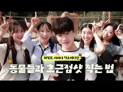 에버랜드 와일드 사바나 영상