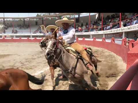 LA CHARRERÍA EN CHILPANCINGO / Manganas a caballo y manganas a pie en el Lienzo Darío Arrieta. P4