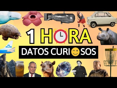 , title : '¡1 HORA DE DATOS CURIOSOS! ⏰😯| #5 | Zarpado'