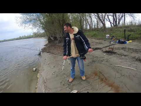 Feeder pecanje -Apatin "Borisavljević"