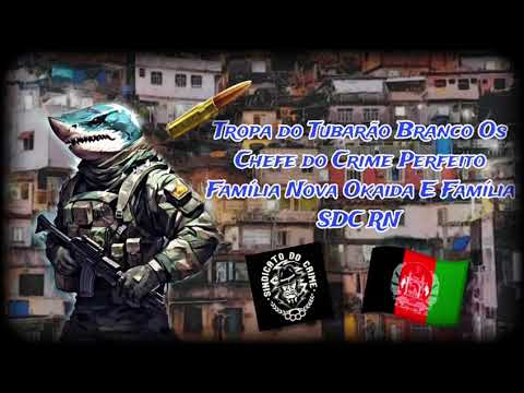 Tropa do Tubarão Branco Os Chefe Do Crime Perfeito Família Nova Okaida E Família SDC- RN