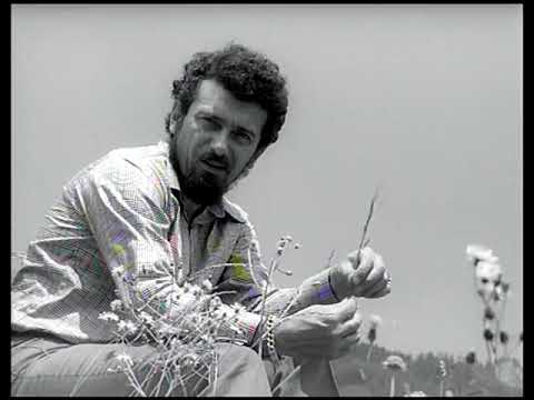 Waldemar Matuška - Píseň pro Kristýnku (1966, film. záznam 1969)
