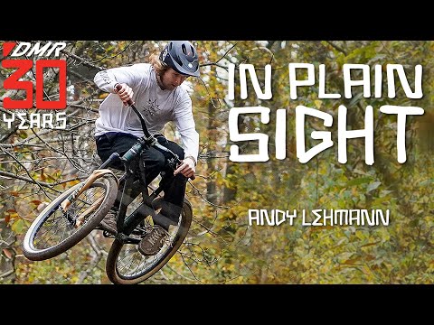 In Plain Sight | DMR