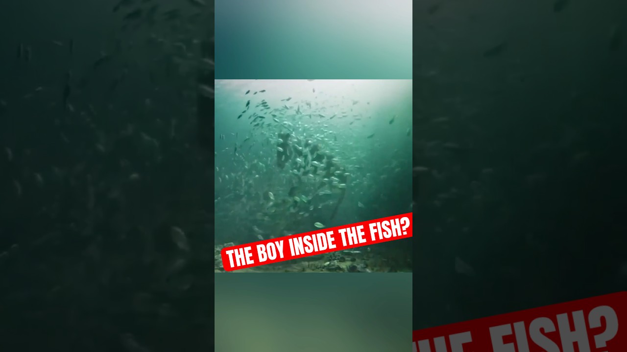 The Boy Inside The Fish #shorts #movieexplanation #viralshort