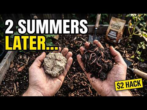 I Tested This $2 Soil Hack for Two Summers—Here’s What Happened