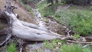 Download Lagu Summit City Creek, Alpine County, California. Thumbnail