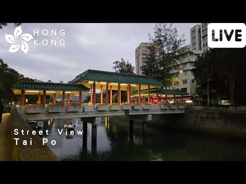 日出觀察 | 大埔街景香港 Tai Po Street Scene Hong Kong | February 8, 2026