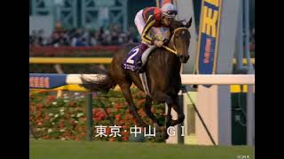 有馬記念は今日今までの引退馬