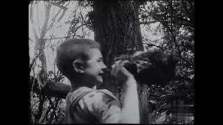 Les Dénicheurs d’oiseaux (1904) The Nest Robbers (Pathé)