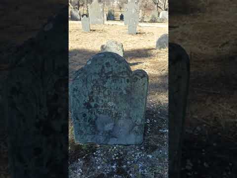 download lagu mp3 mp4 Little Neck Cemetery, download mp3 Little Neck Cemetery free download, download mp3 Little Neck Cemetery