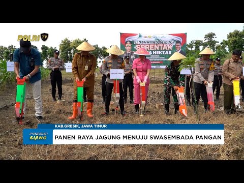POLRES GRESIK GELAR PANEN RAYA JAGUNG SERENTAK KUARTAL II