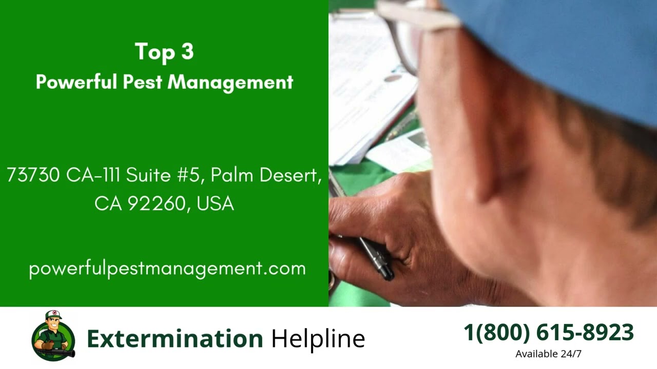 Top 3 Exterminators in Palm Desert