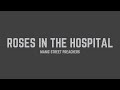 Manic Street Preachers - Roses in the Hospital (Lyrics) - The Autistic DJ Manic Street Preachers - Roses in the Hospital (Lyrics)