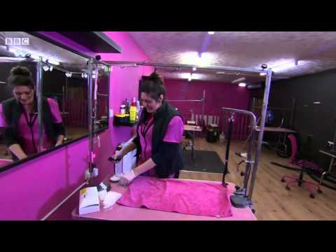 Dog Spa BBC Documentary 2015-Episode 1