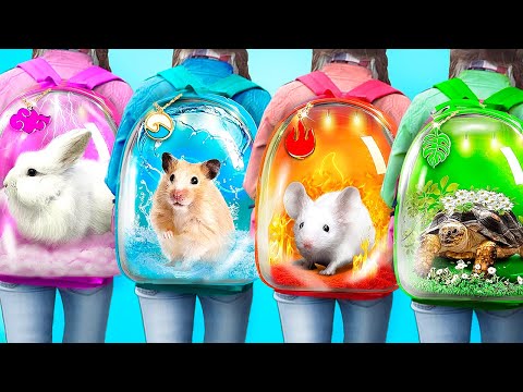 We Build Secret Rooms! Secret Rooms for 4 Elements Pets