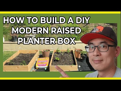 How to build a DIY Modern Raised Planter Box