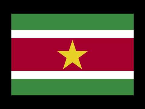LA BANDIERA DEL SURINAME