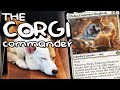 PHELIA CORGI CONTROLTRON Favorite Cards