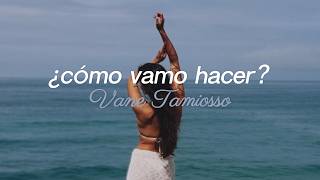 VANE TAMIOSSO - ¿Cómo vamo hacer? (Official Lyric Visualizer)