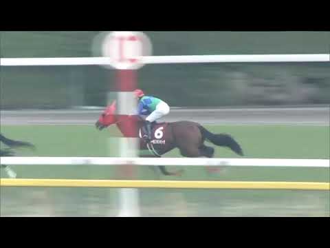 2020.11.08 Copa Republica Argentina (JPN) - Authority