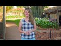 Curtin Springs Station Australian Review From Shannon By Grasshopper Travel