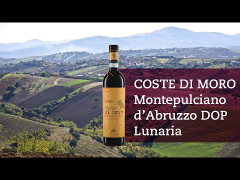 Wein des Monats – COSTE DI MORO Montepulciano d’Abruzzo DOP Lunaria
