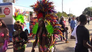 Martin Luther king day Miami Parade 2019