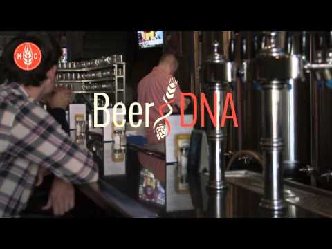 MetaCraft Explainer Video