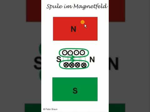 Spule im Magnetfeld