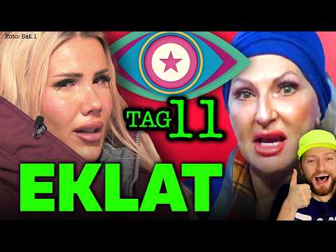 STREIT ESKALIERT 💥 Big Brother muss EINGREIFEN! Promi Big Brother 2025 Tag 11