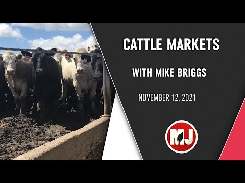 Cattle Markets | Mike Briggs | November 12, 2021