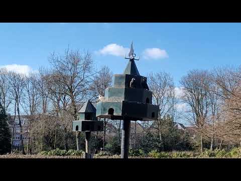Sassenheim Park [4K] walking video. The Netherlands