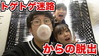 【脱出ゲーム】トゲトゲの迷路からふ～せんの実を割らずに脱出してみた！【対決】