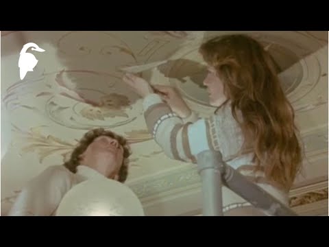 Decorative Paint Work (1984) | Restoring Faux Finishes & Gilding | Artisans of Australia