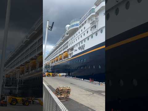 Thumbnail for Farewell Disney Wonder and thank you for coming to Melbourne. You will be missed.  #disneywonder