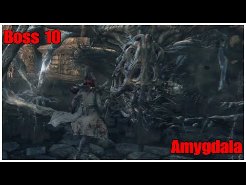 Bloodborne Boss 10 Amygdala