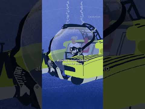 We've found the giant squid, but can't find the colossal squid